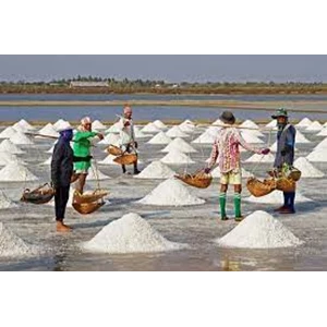 Tren Permintaan Garam Industri di Indonesia dan Peluang Bisnisnya